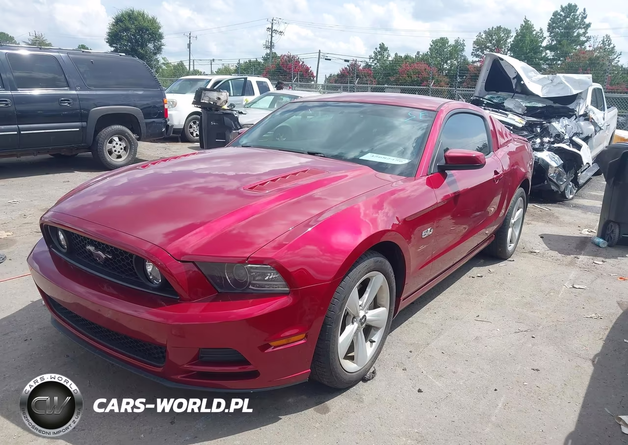 2014 Ford Mustang Gt-Gt Premium VIN:1ZVBP8CF6E5251101 - 2