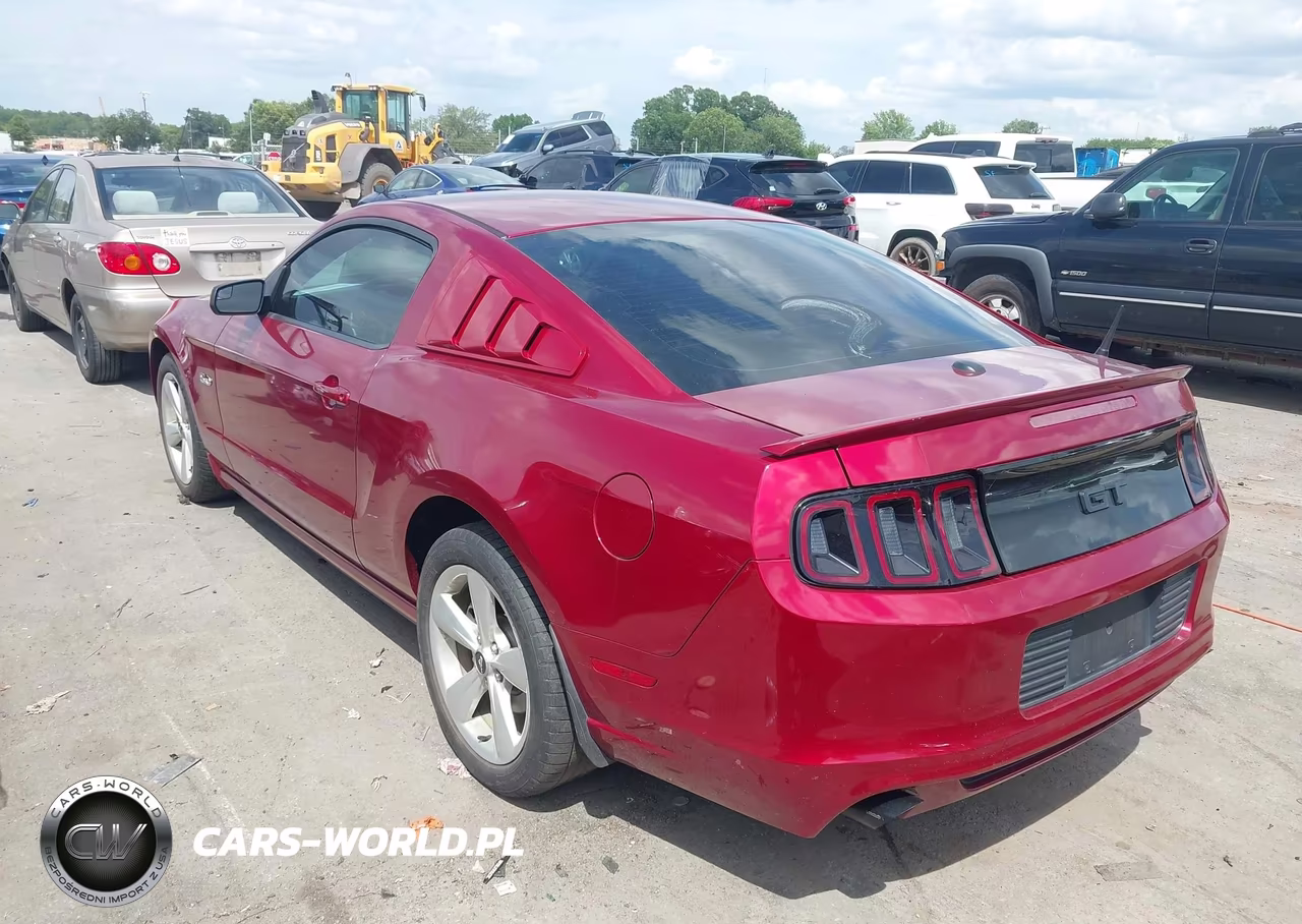 2014 Ford Mustang Gt-Gt Premium VIN:1ZVBP8CF6E5251101 - 3