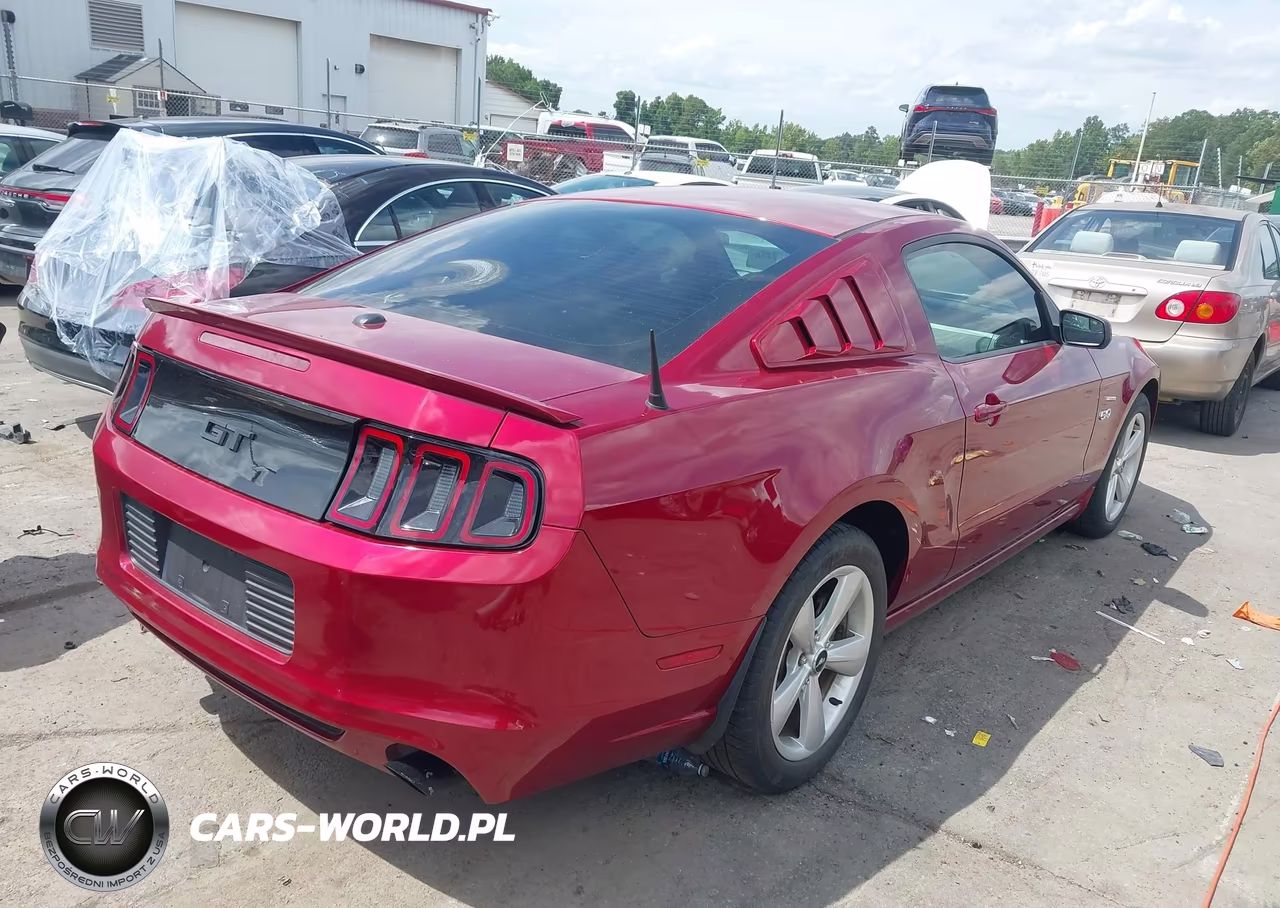 2014 Ford Mustang Gt-Gt Premium VIN:1ZVBP8CF6E5251101 - 4