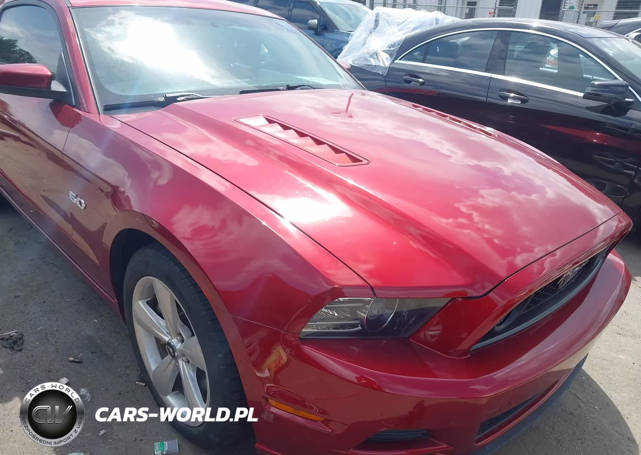 2014 Ford Mustang Gt-Gt Premium VIN:1ZVBP8CF6E5251101 - 6