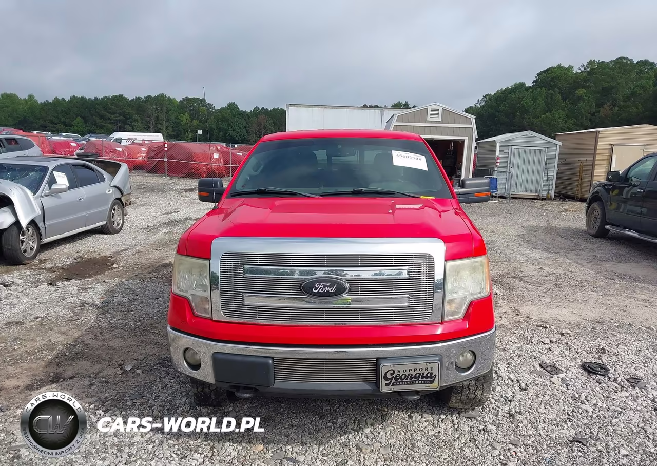 2013 Ford F-150 Xlt VIN:1FTFW1EFXDFC66902 - 12