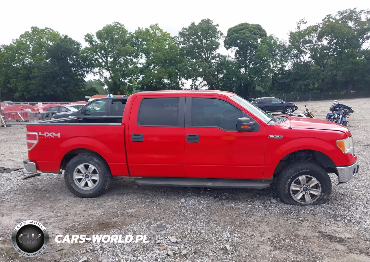 2013 Ford F-150 Xlt VIN:1FTFW1EFXDFC66902 - 13