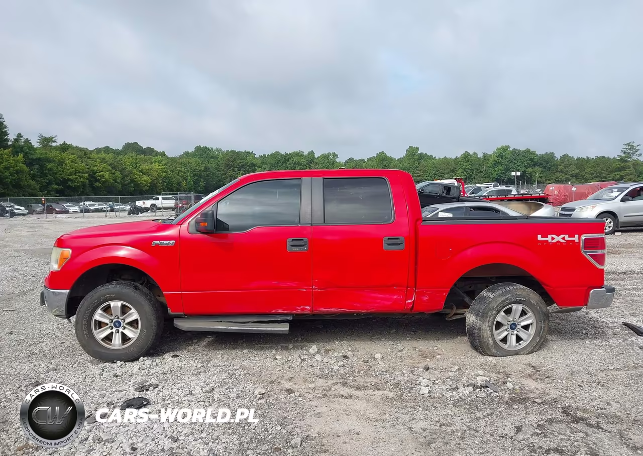 2013 Ford F-150 Xlt VIN:1FTFW1EFXDFC66902 - 14