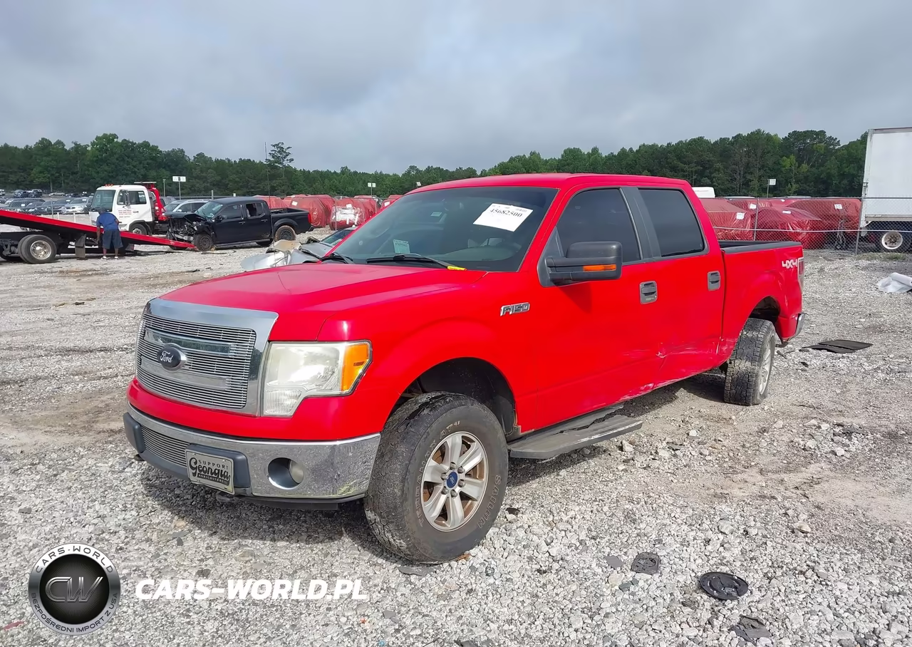 2013 Ford F-150 Xlt VIN:1FTFW1EFXDFC66902 - 2