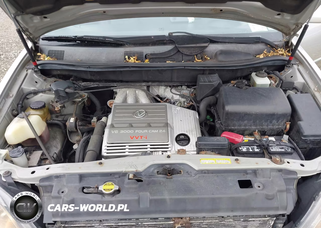2000 Lexus Rx 300 VIN:JT6HF10U8Y0160897 - 10