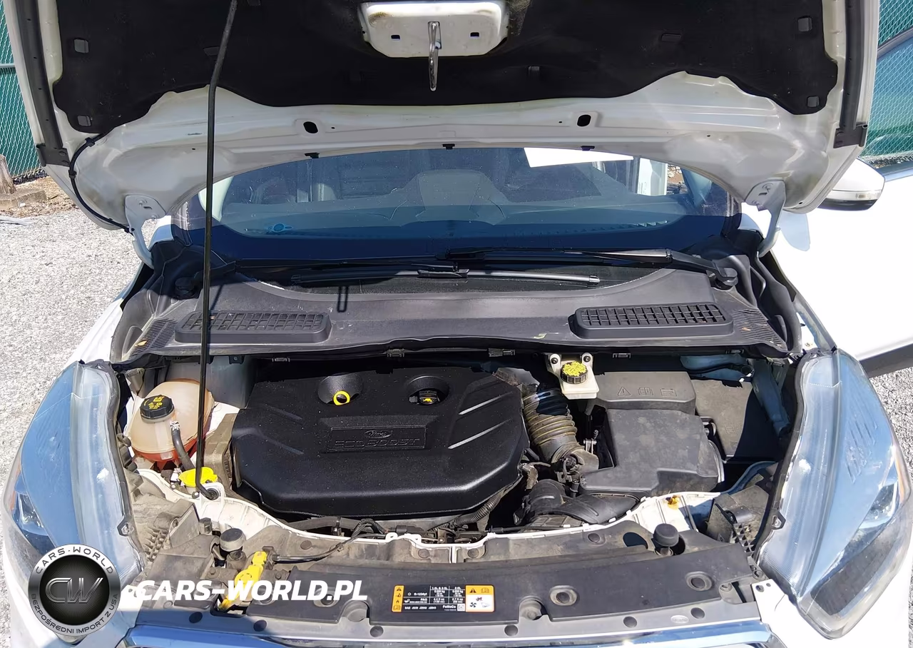 2017 Ford Escape Titanium VIN:1FMCU0J98HUB40649 - 10