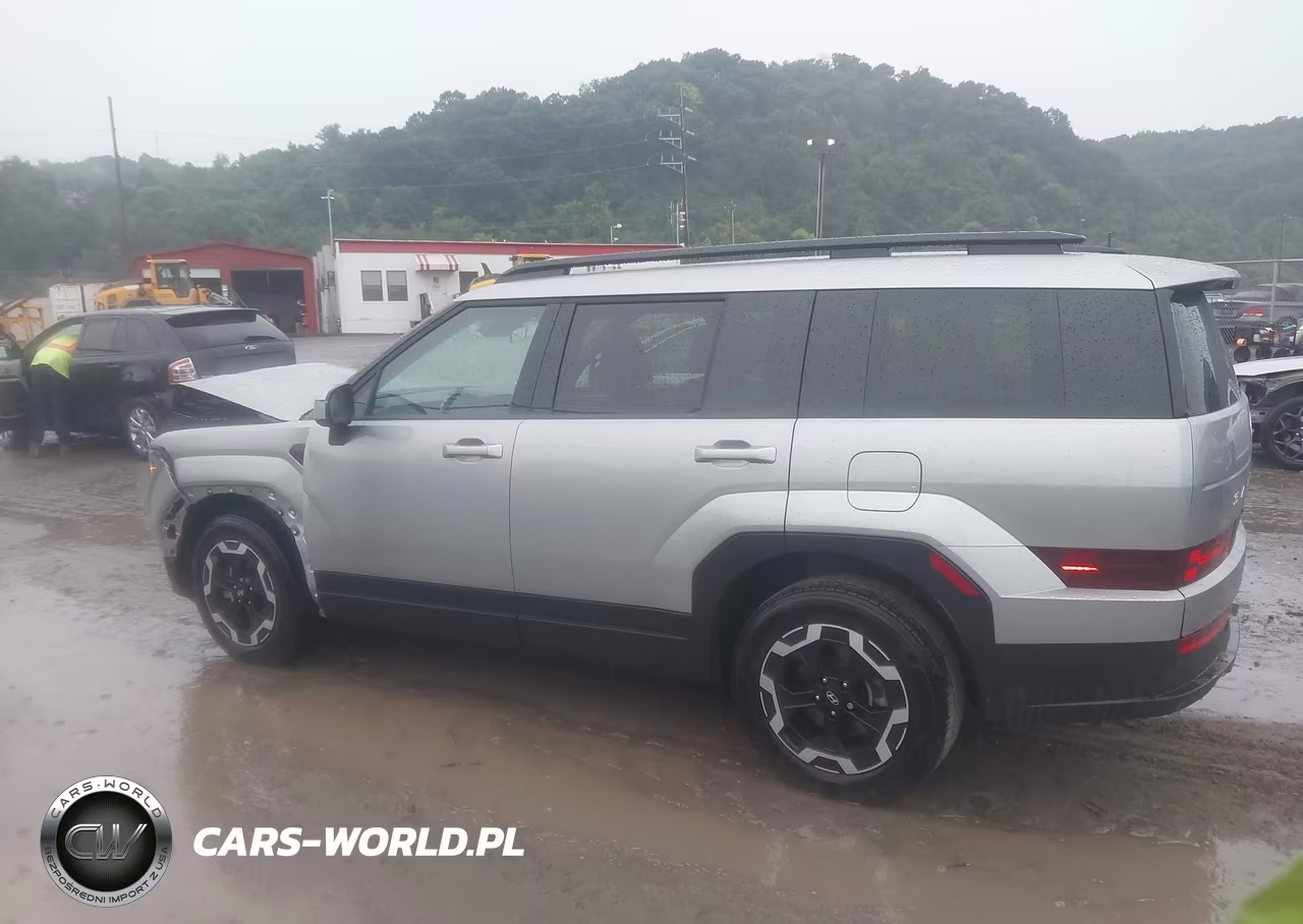 2025 Hyundai Santa Fe Sel VIN:5NMP2DGL8SH142373 - 14