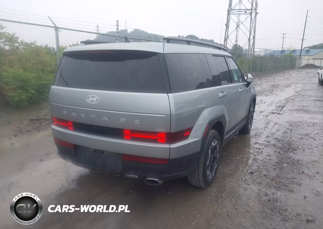 2025 Hyundai Santa Fe Sel VIN:5NMP2DGL8SH142373 - 4