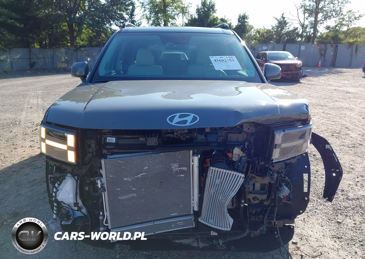 2024 Hyundai Santa Fe Hybrid Limited VIN:5NMP3DG16RH011769 - 12