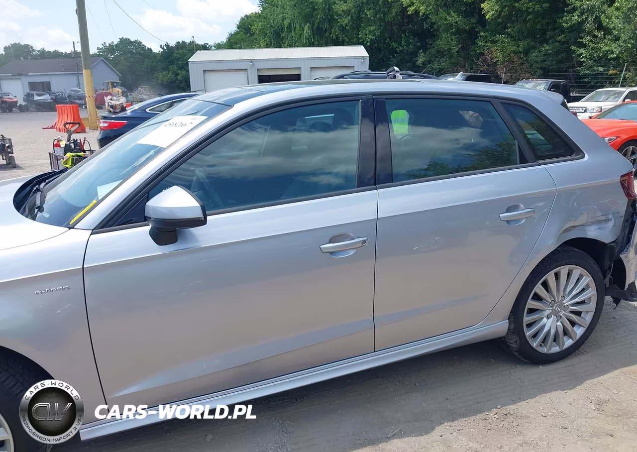 2016 Audi A3 E-Tron 1.4T Premium VIN:WAUUPBFF6GA111139 - 14