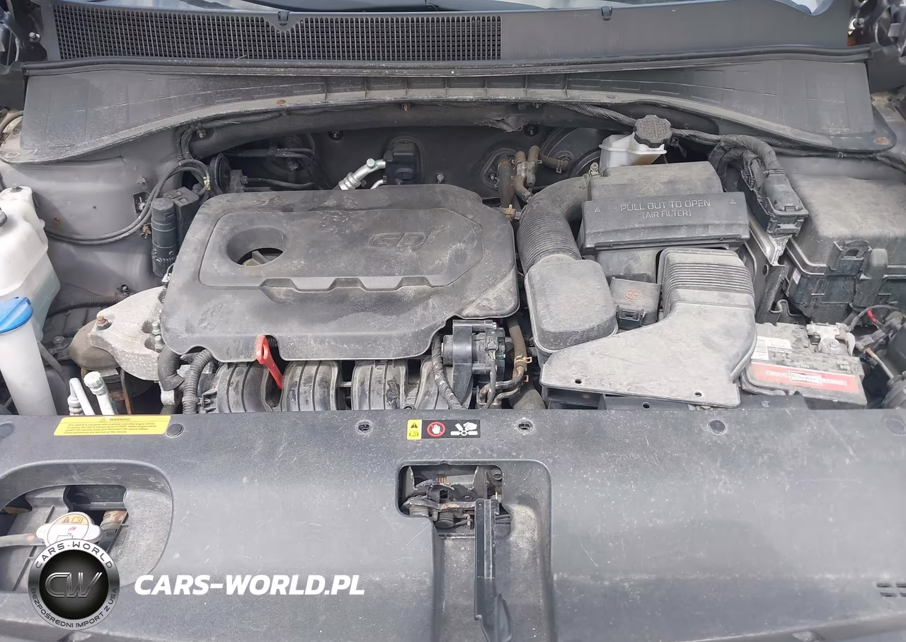 2016 Kia Sorento 2.4L Lx VIN:5XYPGDA32GG175431 - 10
