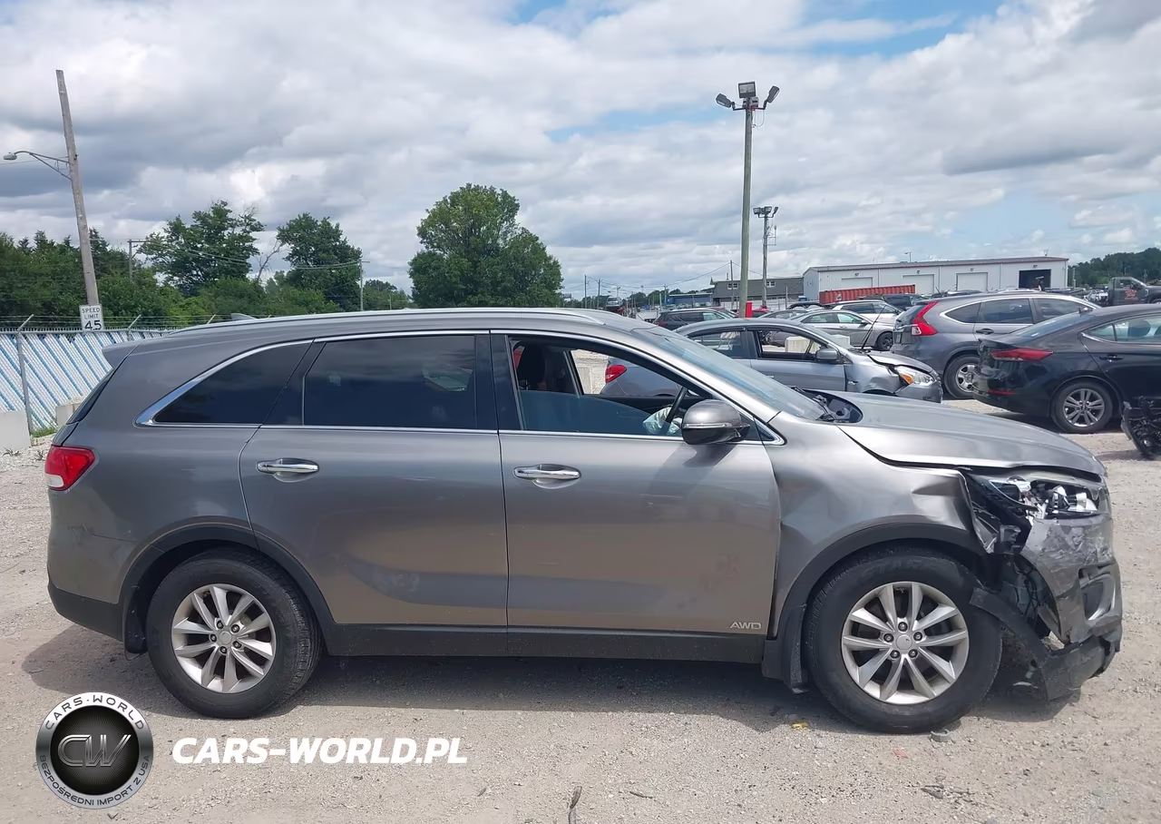2016 Kia Sorento 2.4L Lx VIN:5XYPGDA32GG175431 - 13