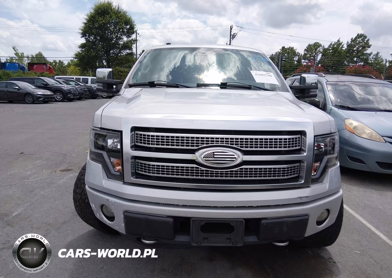 2009 Ford F-150 Fx4-King Ranch-Lariat-Platinum-Xl-Xlt VIN:1FTPW14V09FA38623 - 12