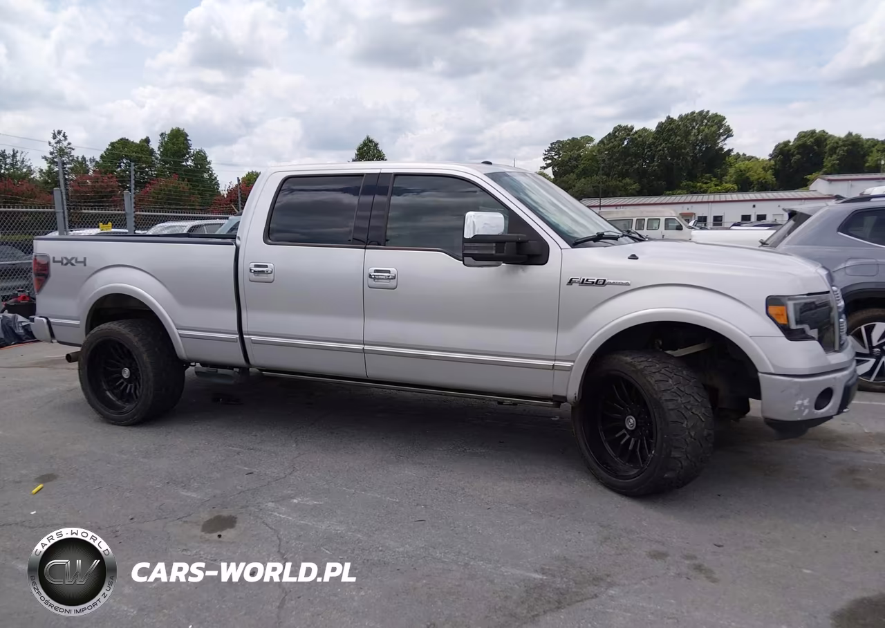 2009 Ford F-150 Fx4-King Ranch-Lariat-Platinum-Xl-Xlt VIN:1FTPW14V09FA38623 - 13