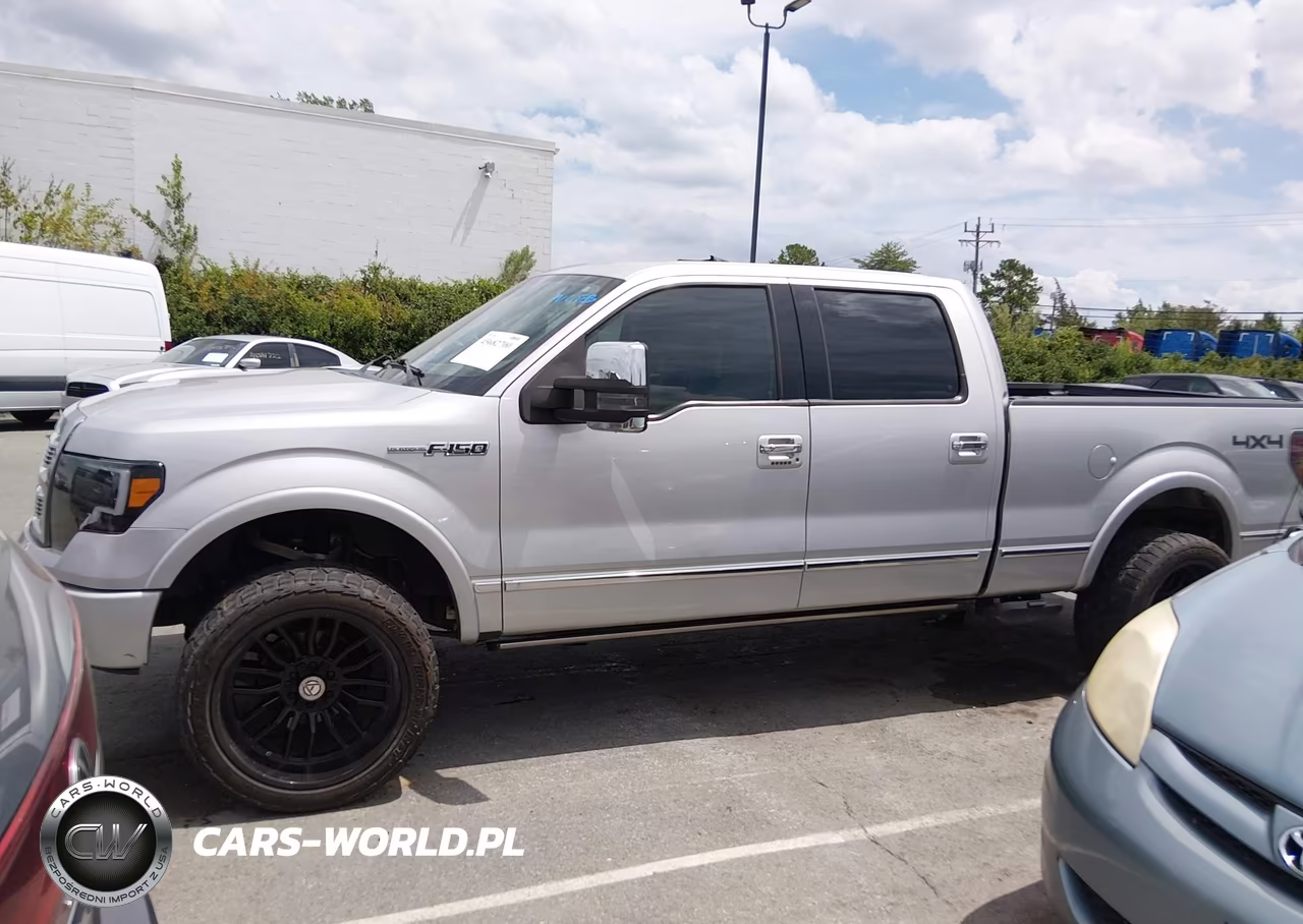 2009 Ford F-150 Fx4-King Ranch-Lariat-Platinum-Xl-Xlt VIN:1FTPW14V09FA38623 - 14