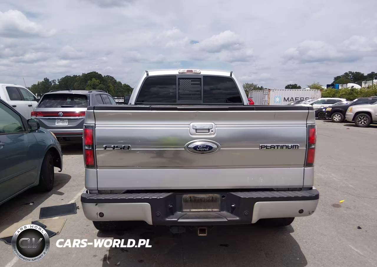 2009 Ford F-150 Fx4-King Ranch-Lariat-Platinum-Xl-Xlt VIN:1FTPW14V09FA38623 - 16