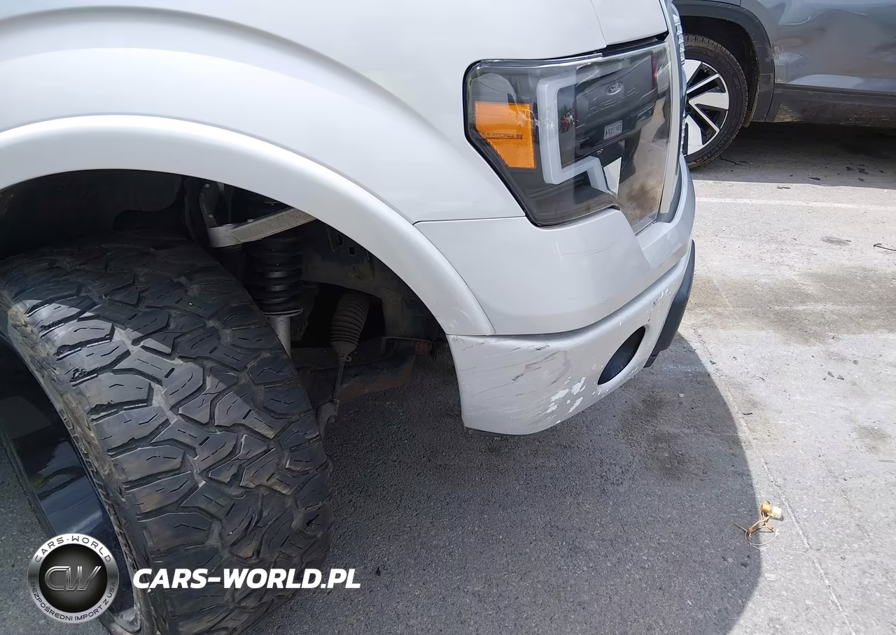2009 Ford F-150 Fx4-King Ranch-Lariat-Platinum-Xl-Xlt VIN:1FTPW14V09FA38623 - 19