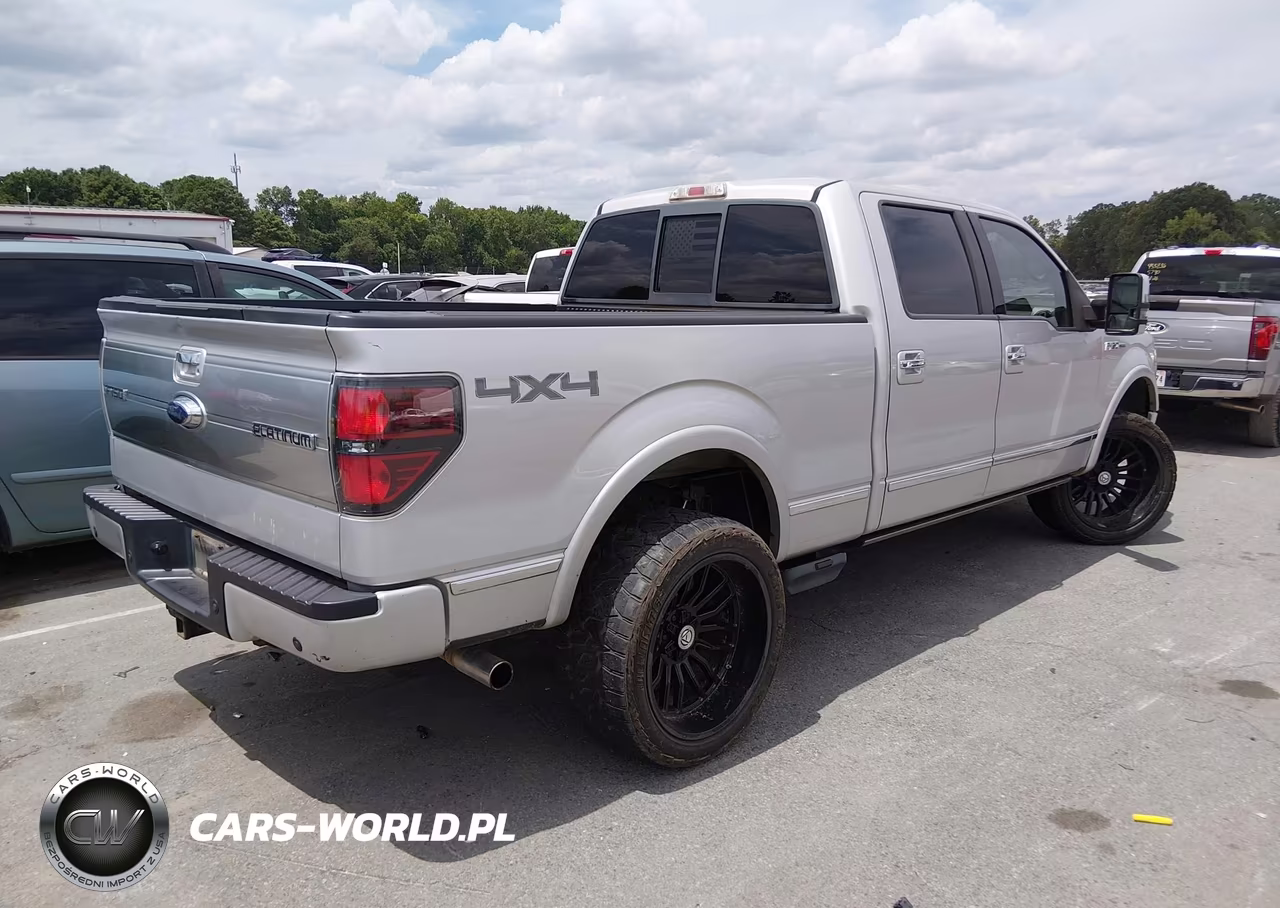 2009 Ford F-150 Fx4-King Ranch-Lariat-Platinum-Xl-Xlt VIN:1FTPW14V09FA38623 - 4