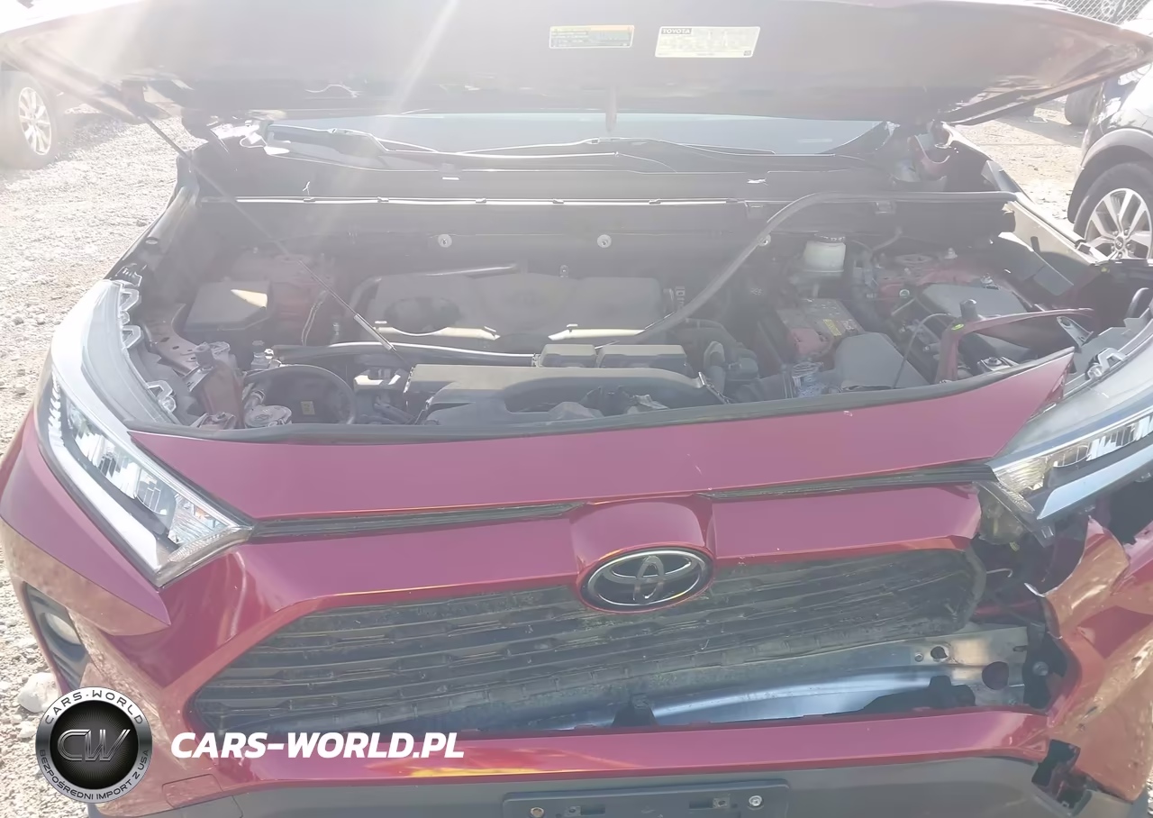 2019 Toyota Rav4 Xle Premium VIN:JTMA1RFV8KD008982 - 10