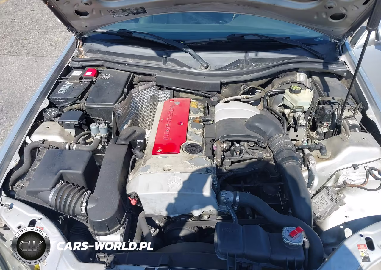 2003 Mercedes-Benz Slk 230 Kompressor VIN:WDBKK49F23F289917 - 10
