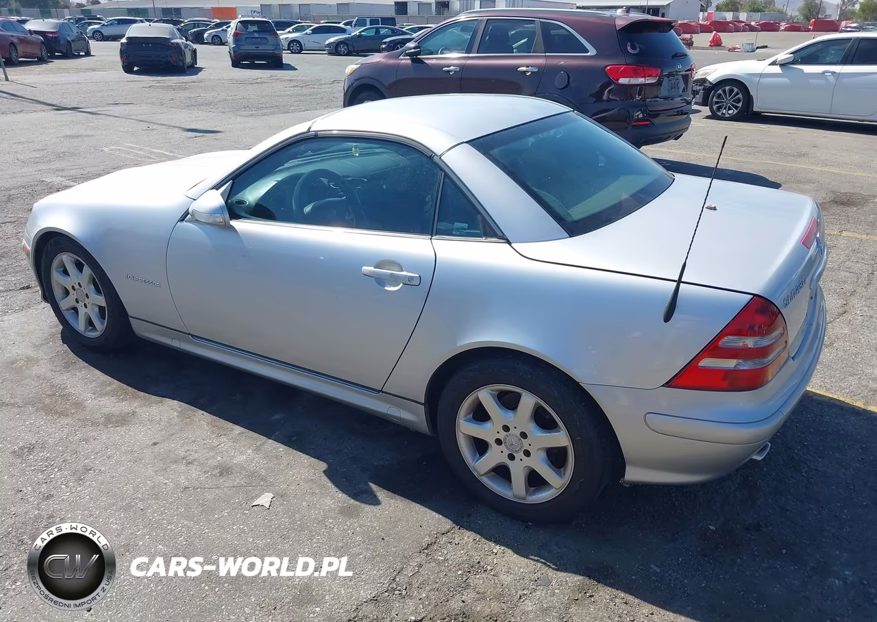 2003 Mercedes-Benz Slk 230 Kompressor VIN:WDBKK49F23F289917 - 3