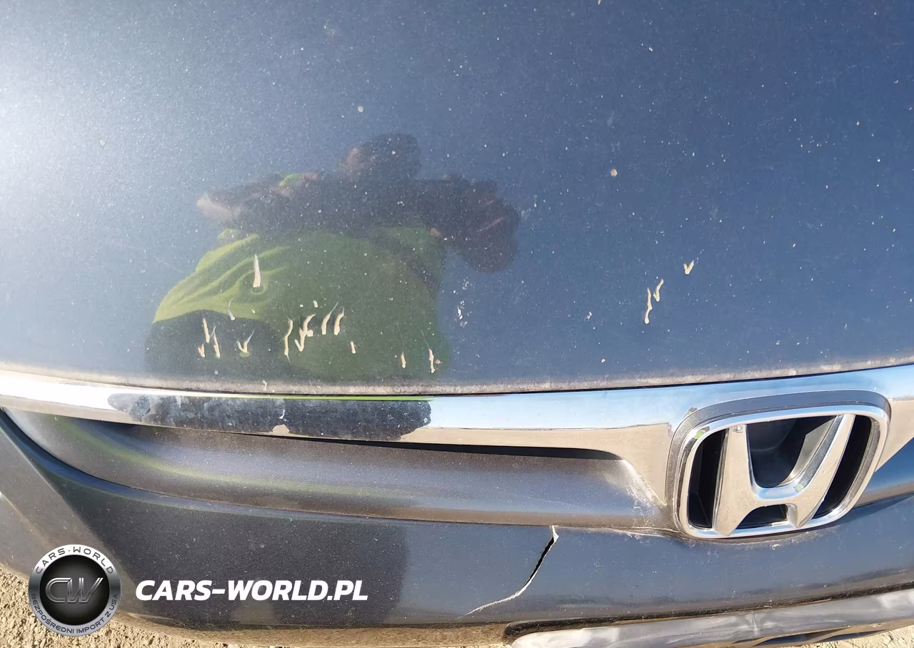 2007 Honda Accord 3.0 Ex VIN:1HGCM66597A062297 - 13