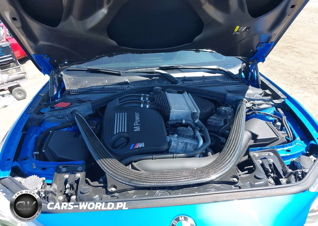 2020 BMW M2 Cs VIN:WBS1J3C01L7G68122 - 10