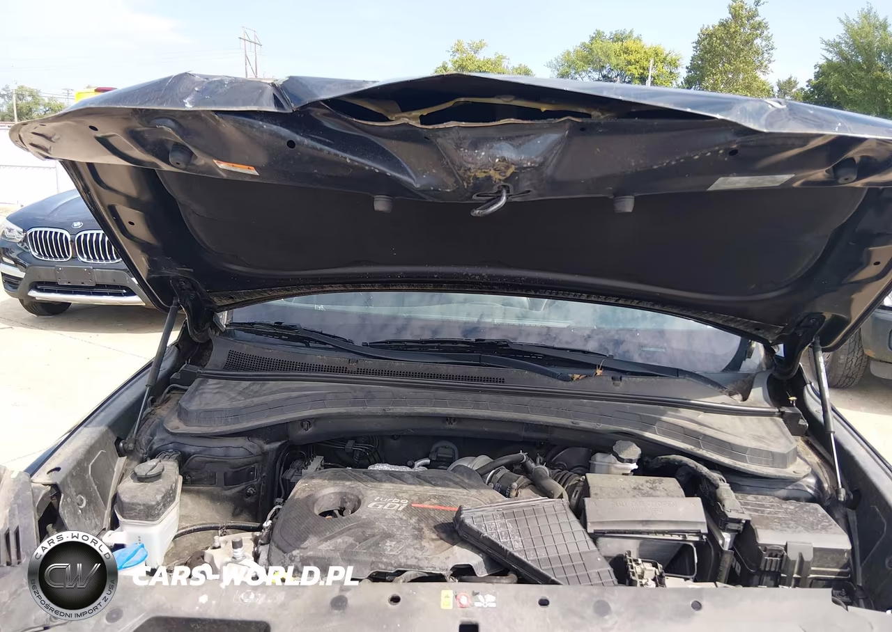 2020 Hyundai Santa Fe Sel 2.0T VIN:5NMS3CAA7LH248338 - 10
