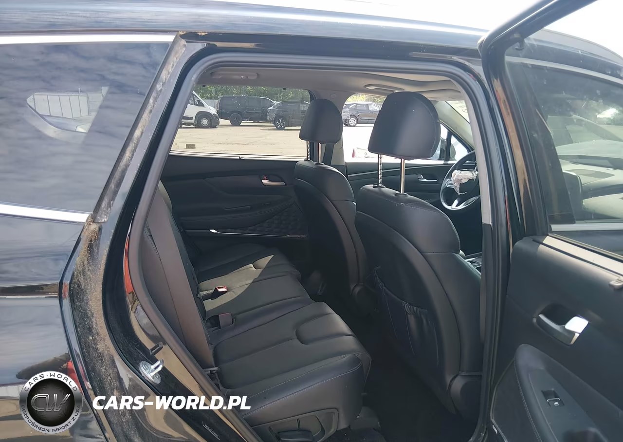 2020 Hyundai Santa Fe Sel 2.0T VIN:5NMS3CAA7LH248338 - 8