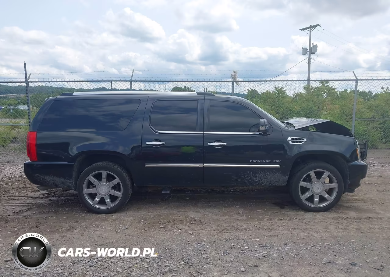 2012 Cadillac Escalade Esv Luxury VIN:1GYS4HEF7CR209528 - 13