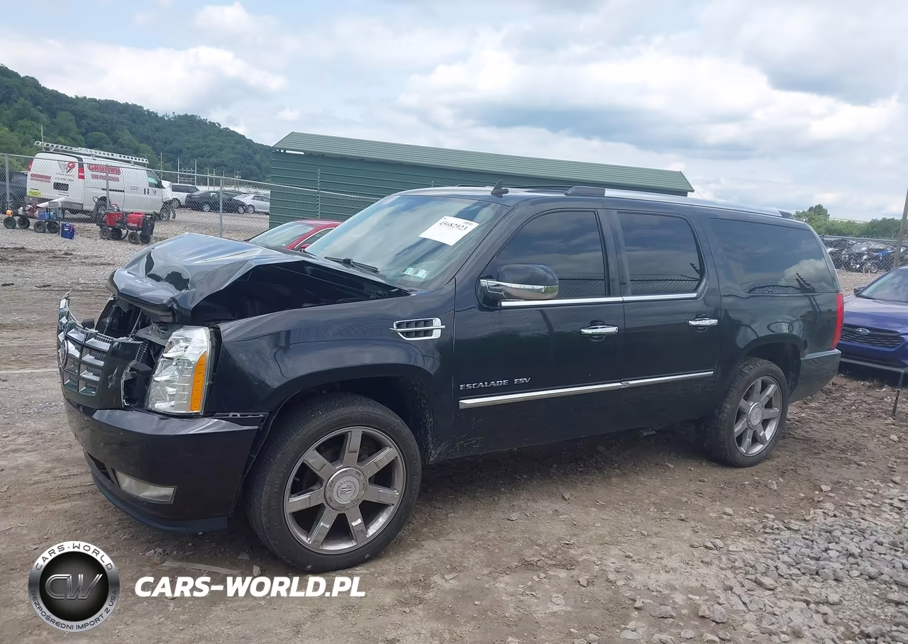 2012 Cadillac Escalade Esv Luxury VIN:1GYS4HEF7CR209528 - 14