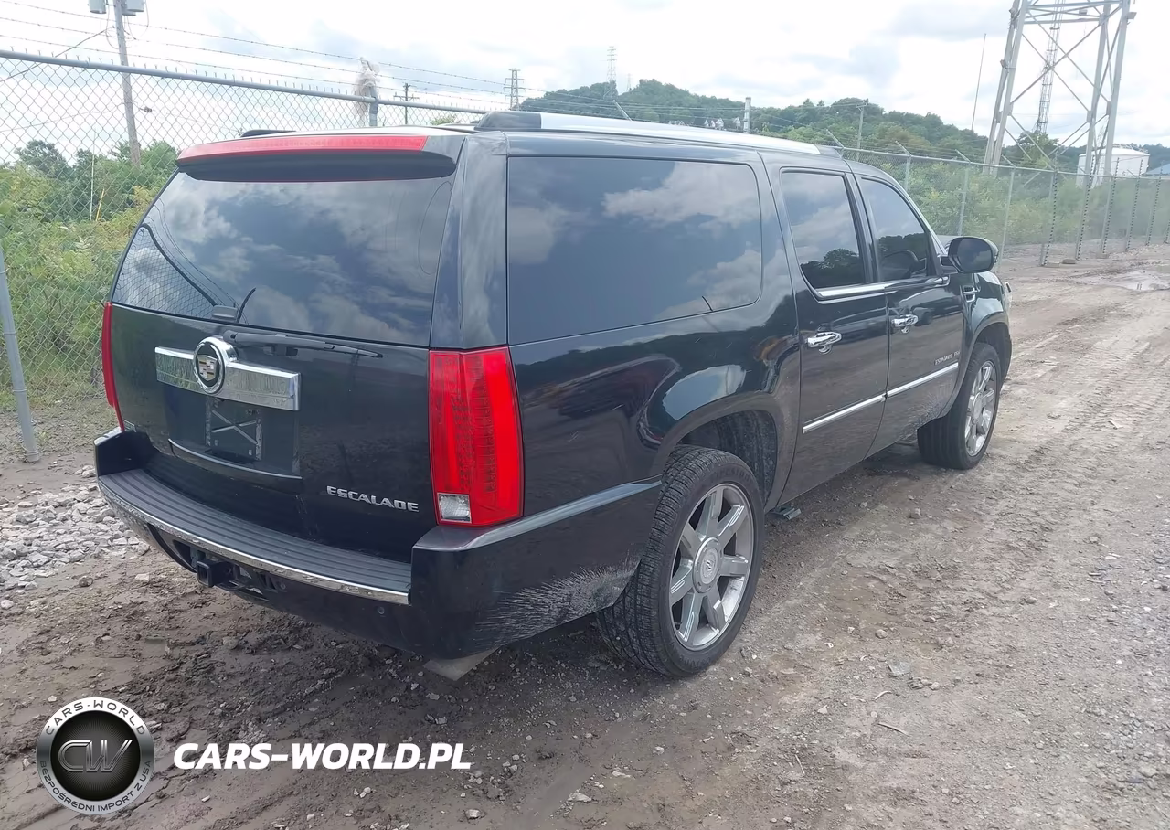 2012 Cadillac Escalade Esv Luxury VIN:1GYS4HEF7CR209528 - 4