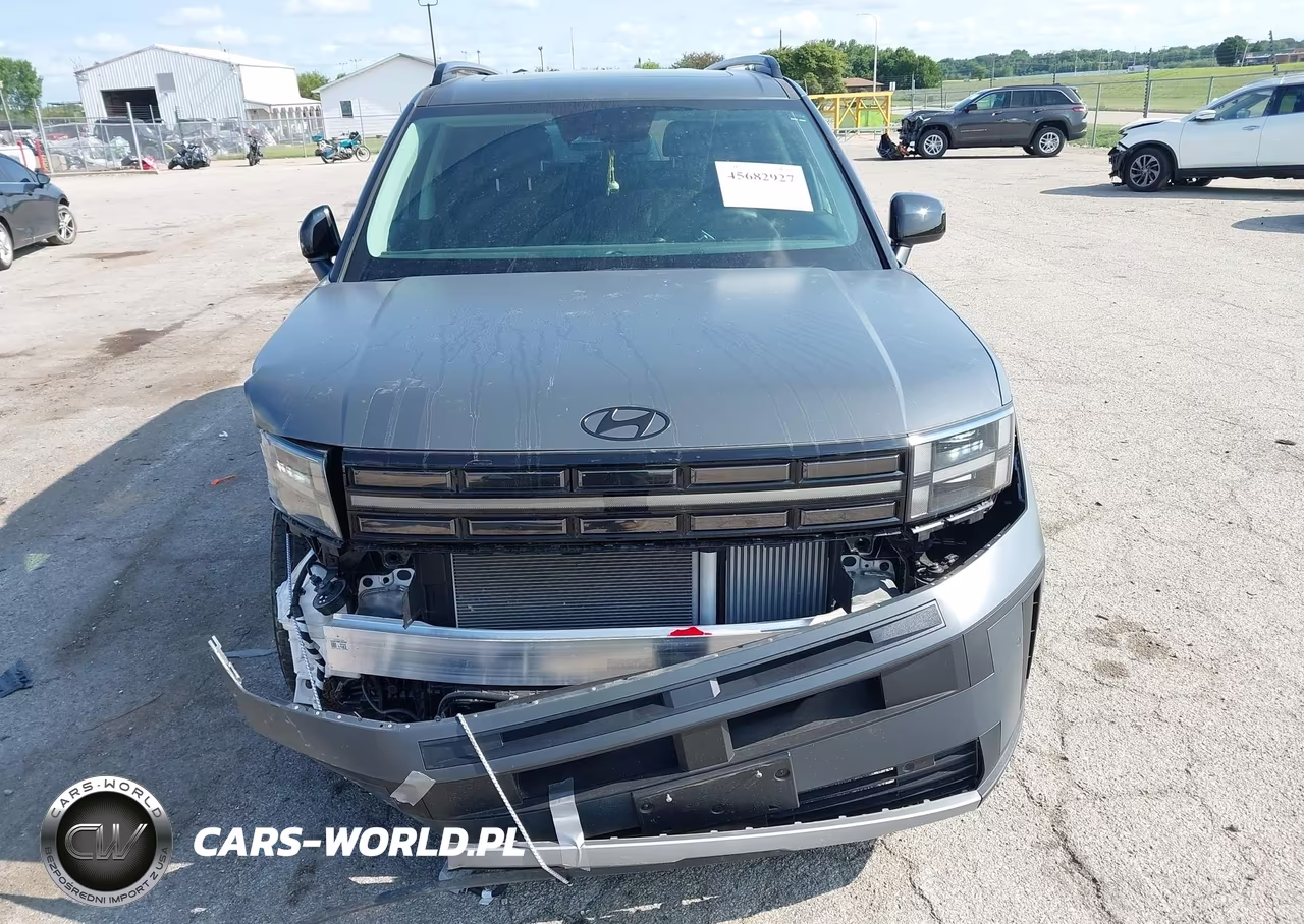 2025 Hyundai Santa Fe Xrt VIN:5NMP3DGL7SH099836 - 12