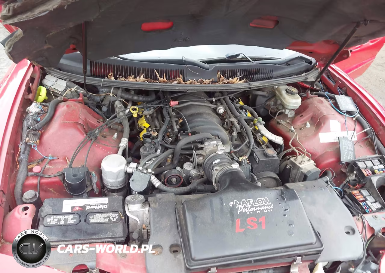 1999 Pontiac Firebird Trans Am VIN:2G2FV22G6X2213856 - 10