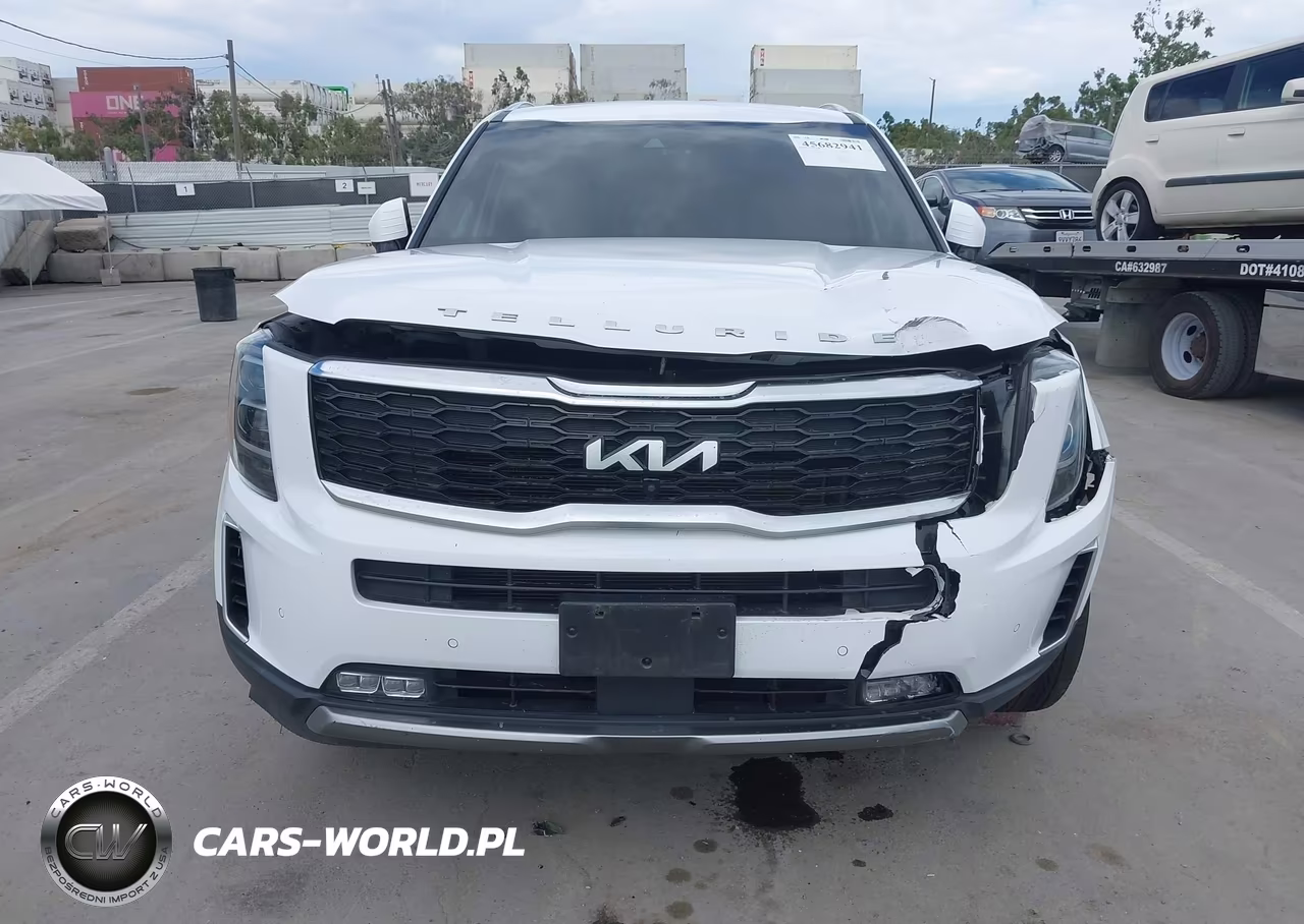 2022 Kia Telluride Sx VIN:5XYP54HCXNG256296 - 12