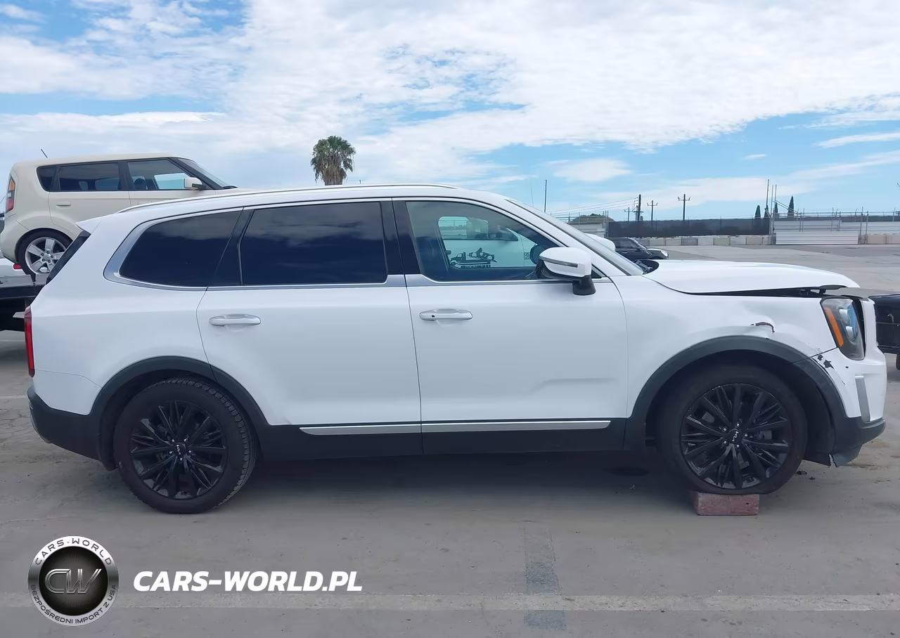 2022 Kia Telluride Sx VIN:5XYP54HCXNG256296 - 13