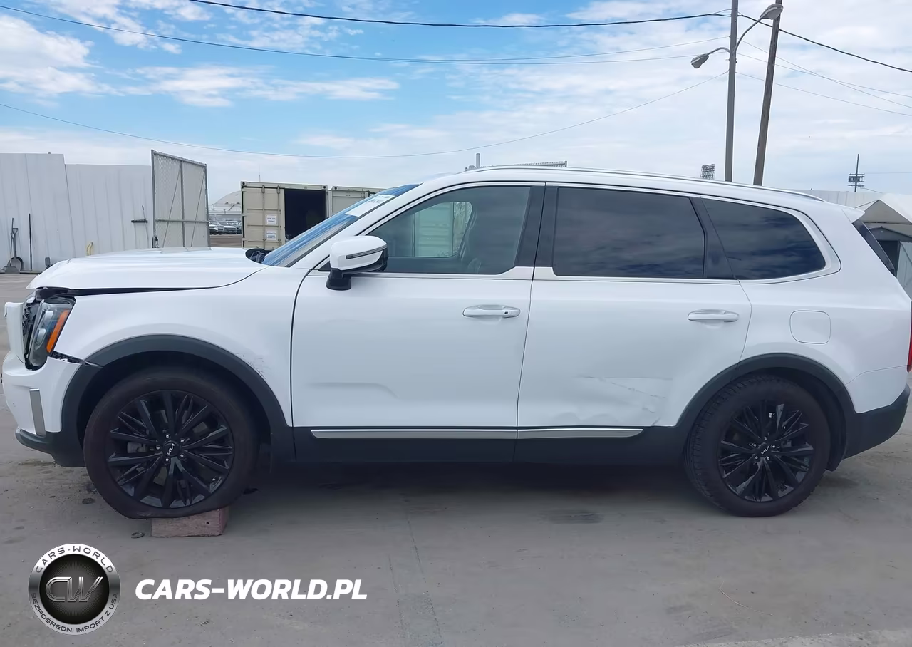 2022 Kia Telluride Sx VIN:5XYP54HCXNG256296 - 14