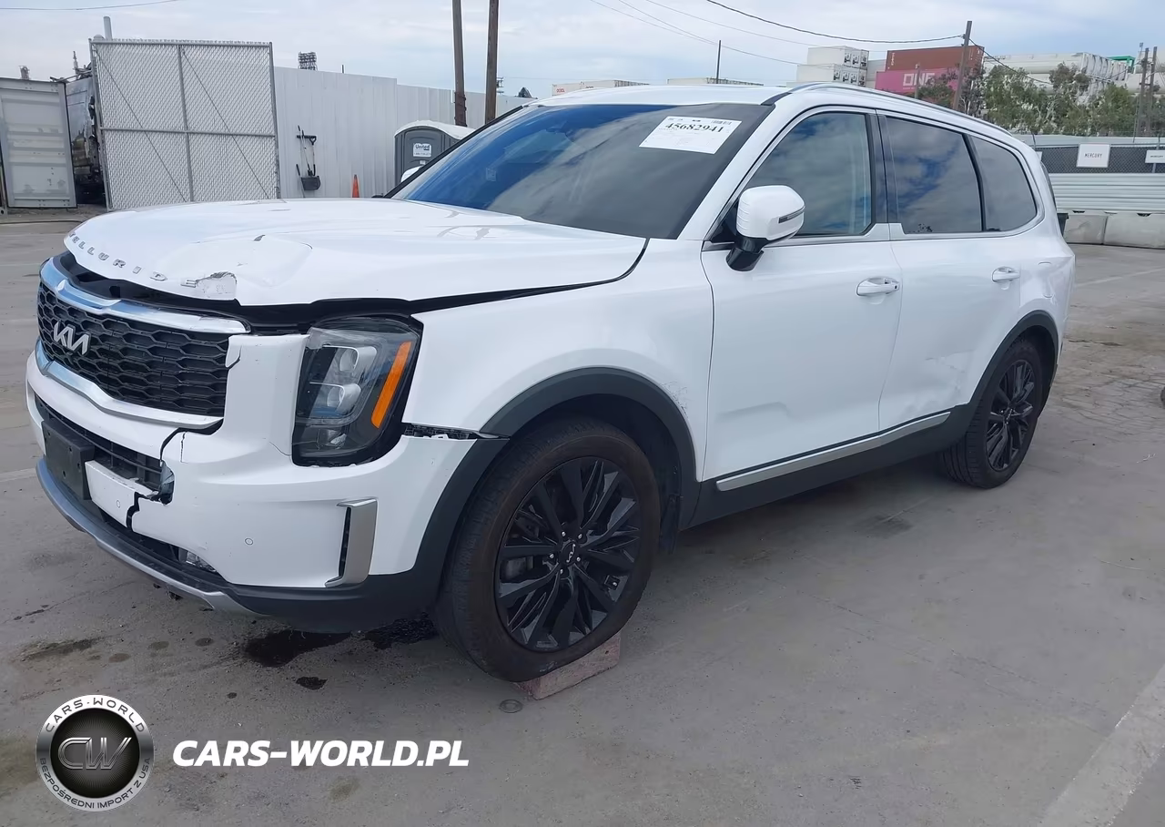 2022 Kia Telluride Sx VIN:5XYP54HCXNG256296 - 2