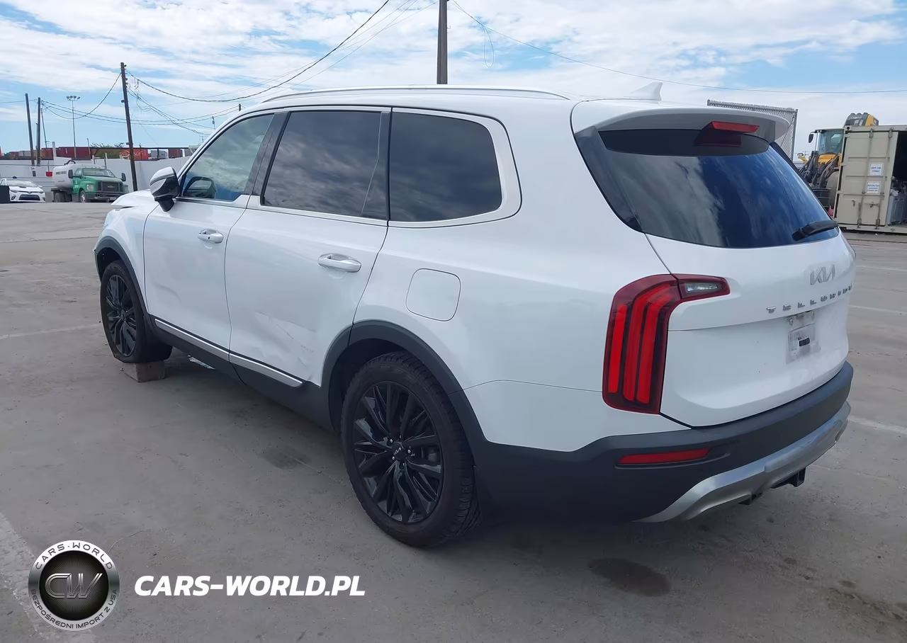 2022 Kia Telluride Sx VIN:5XYP54HCXNG256296 - 3