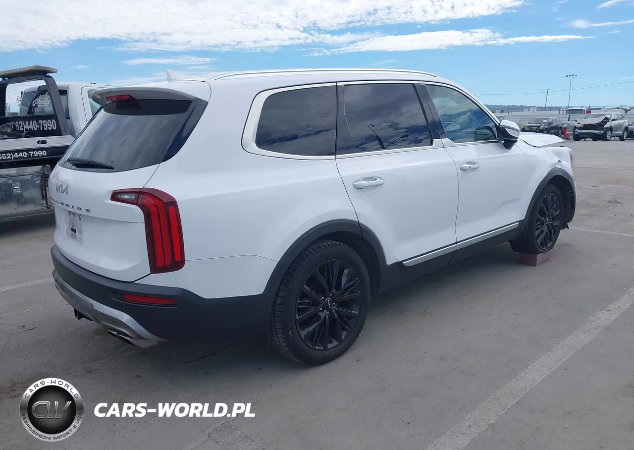 2022 Kia Telluride Sx VIN:5XYP54HCXNG256296 - 4
