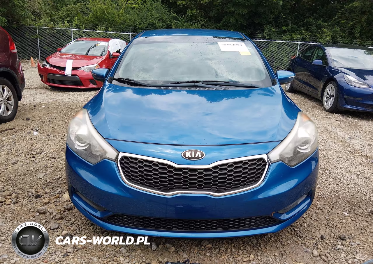 2014 Kia Forte Lx VIN:KNAFX4A67E5223787 - 13