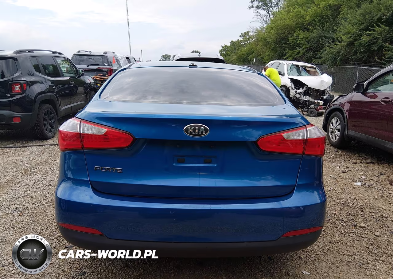 2014 Kia Forte Lx VIN:KNAFX4A67E5223787 - 17