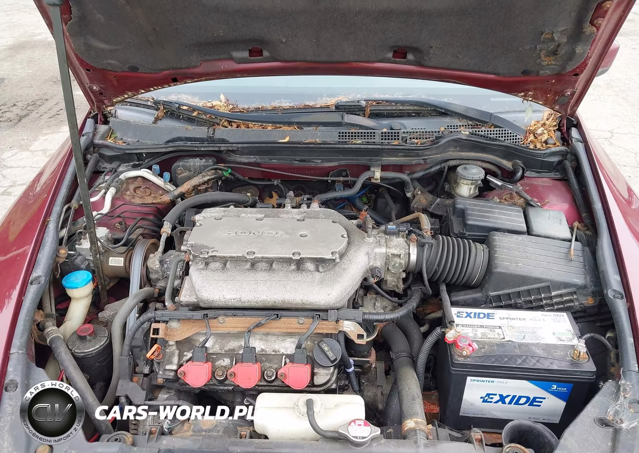 2004 Honda Accord 3.0 Ex VIN:1HGCM66554A080596 - 10