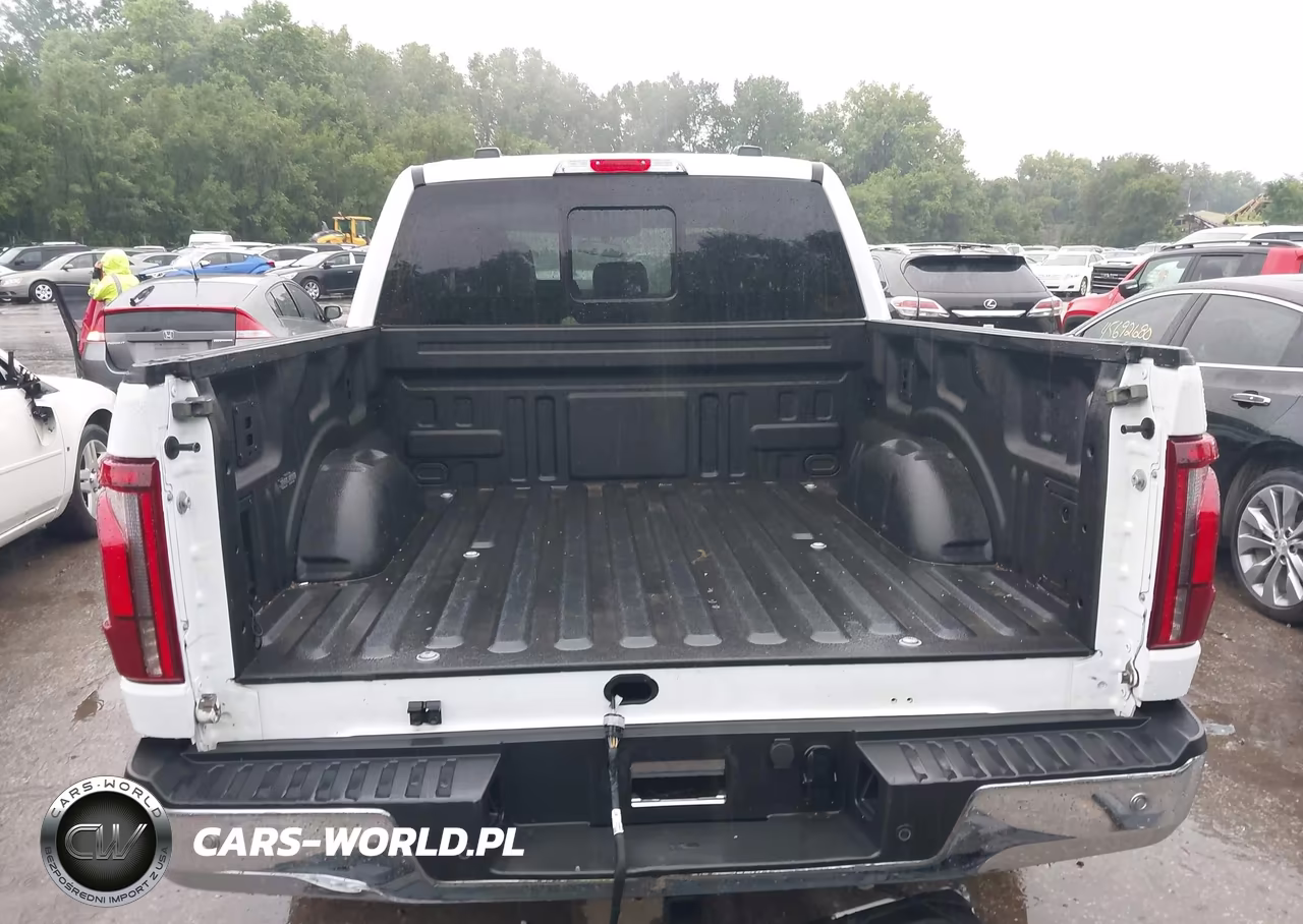 2024 Ford F-150 Lariat VIN:1FTFW5LD4RFC17176 - 17