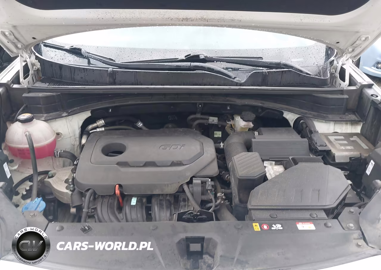 2022 Kia Sportage Lx VIN:KNDPMCAC3N7016737 - 10