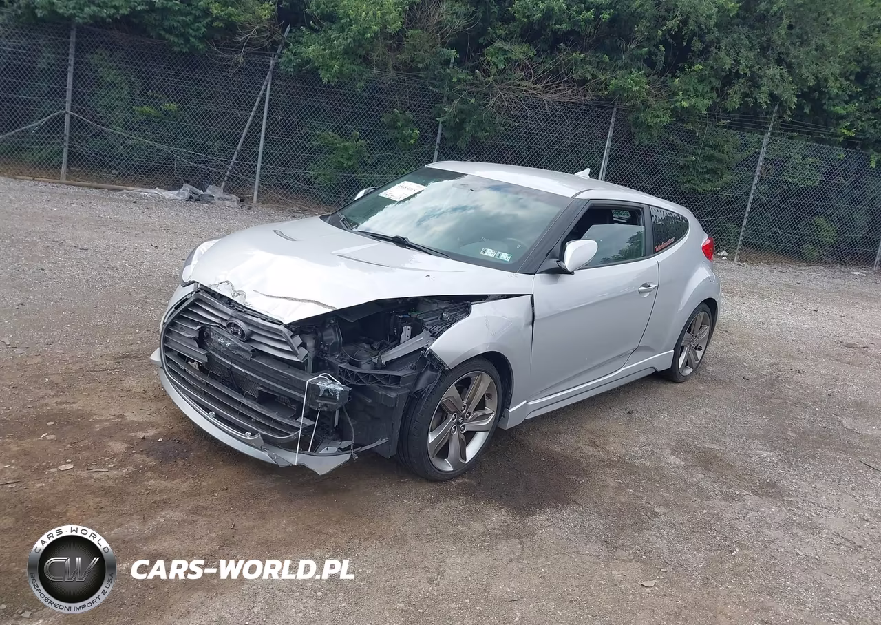 2013 Hyundai Veloster Turbo W-Black VIN:KMHTC6AE7DU142597 - 2