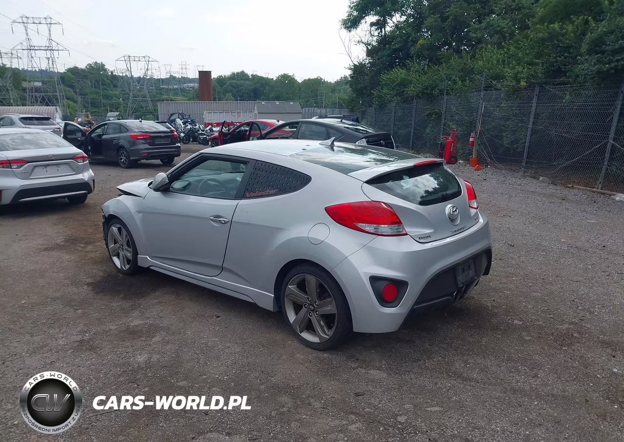 2013 Hyundai Veloster Turbo W-Black VIN:KMHTC6AE7DU142597 - 3