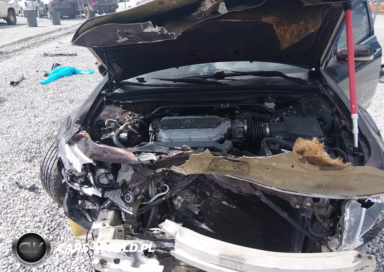 2011 Acura Tl 3.7 VIN:19UUA9F56BA002291 - 10