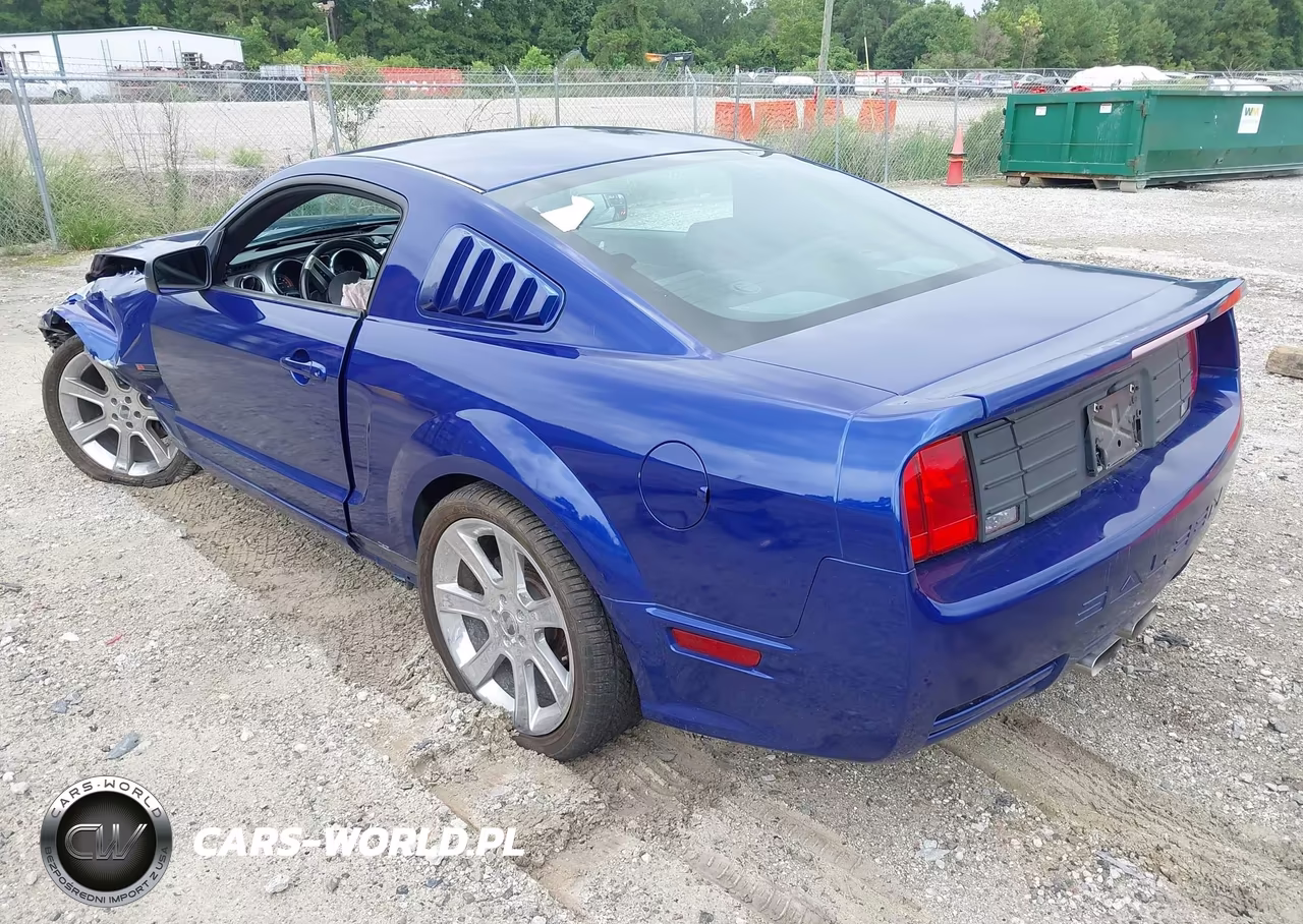 2005 Ford Mustang Gt Deluxe-Gt Premium VIN:1ZVFT82H755233173 - 3