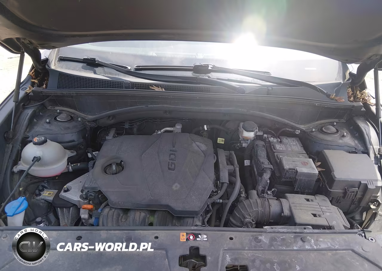 2023 Hyundai Santa Fe Xrt VIN:5NMS6DAJ4PH490748 - 10